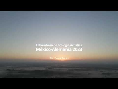 YouTube-Video-Thumbnail