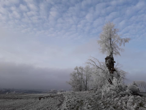 Verschneite Winterlandschaft bei Erbach/Württemberg © Susanne Wosnitzka